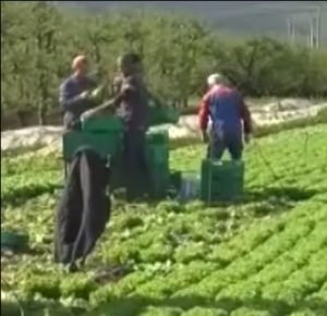 lavoro