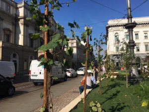 "Gli Orti de La Scala" nella omonima piazza - Celebrazione del Cinquecentenario della morte di Leonardo da Vinci