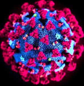 coronavirus-295x300